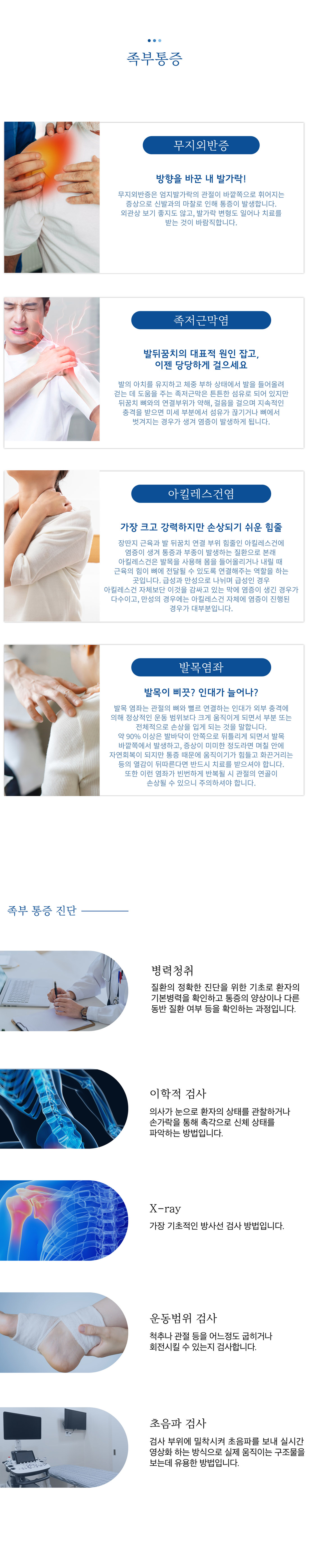 족부